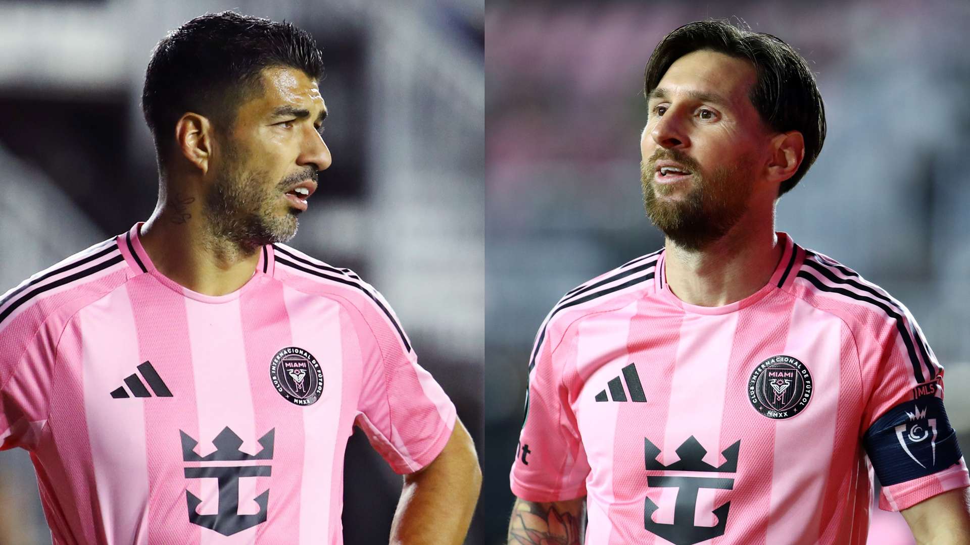 的独立和自 的独立和自