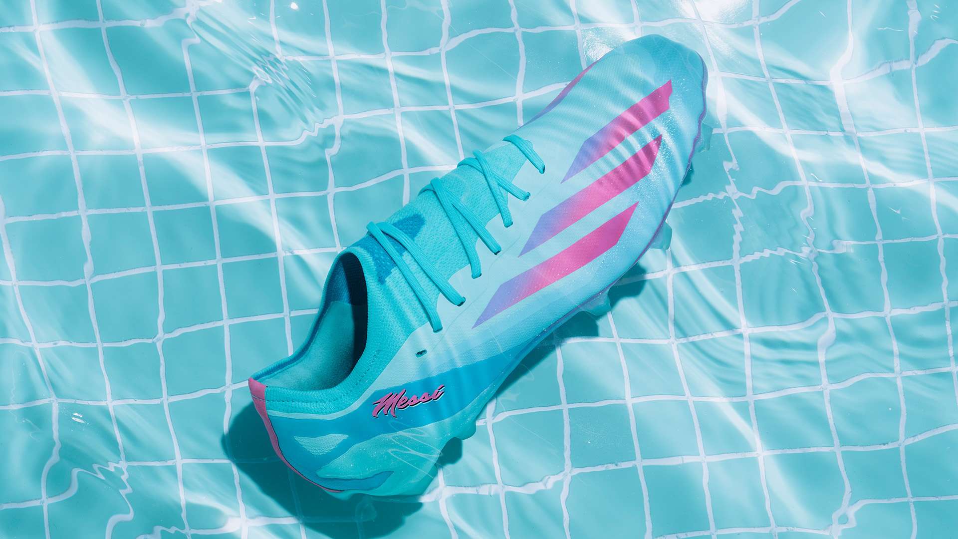 球迷的支持 球迷的支持